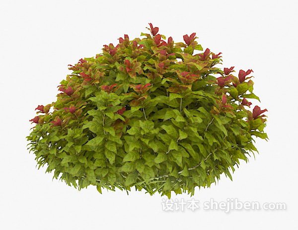 免费室外绿化带植物3d模型下载