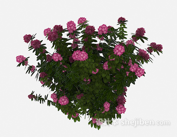 现代风格室外花卉植物3d模型下载