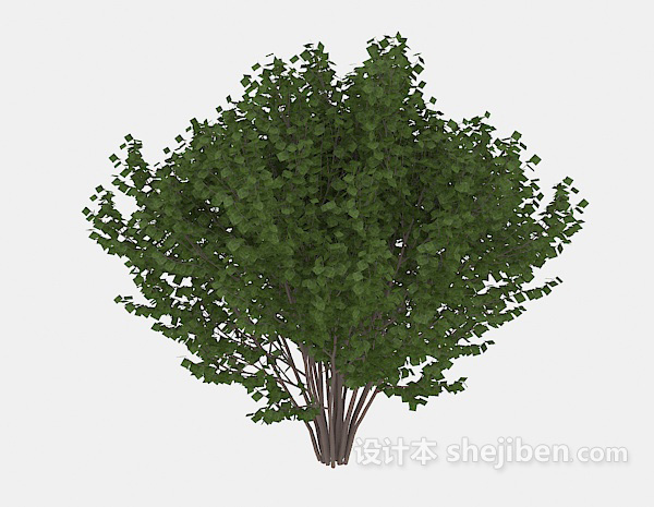 免费室外绿木植株3d模型下载
