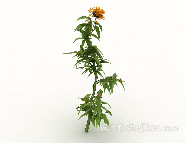 免费培育植物3d模型下载