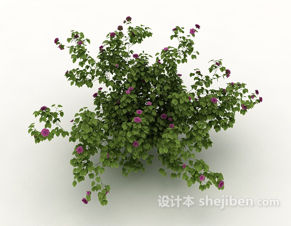 免费丛生绿色植物3d模型下载