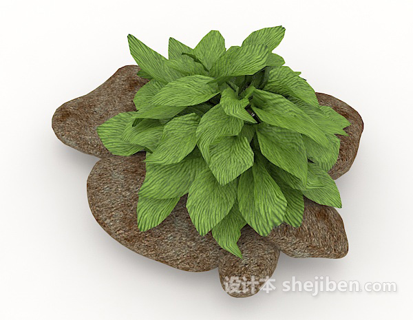免费绿色室外植物3d模型下载