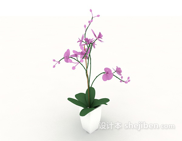 家居室内盆栽植物3d模型下载