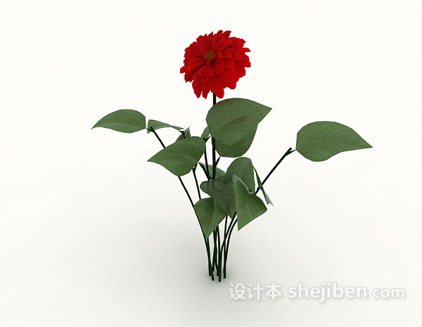 现代风格红花植物3d模型下载