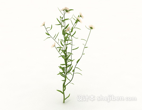 现代风格野花植物3d模型下载