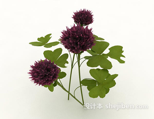 现代风格大朵花植物3d模型下载