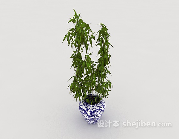 现代风格室内观赏盆栽3d模型下载