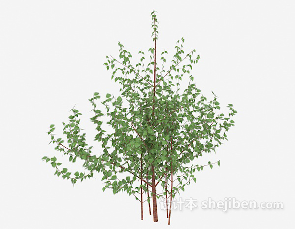 现代风格常见室外植物树苗3d模型下载
