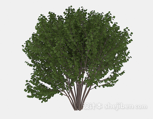 室外绿木植株3d模型下载