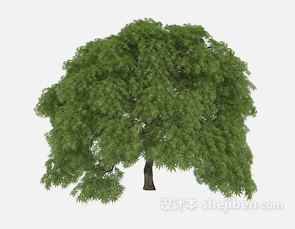 设计本路标植物大树3d模型下载