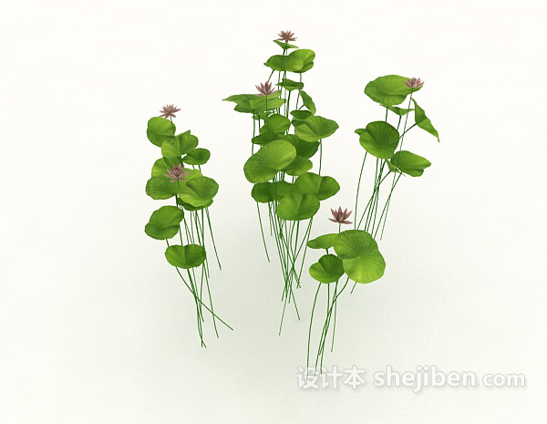 绿色观赏植物3d模型下载