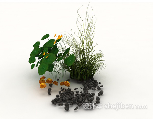 设计本荷塘植物3d模型下载