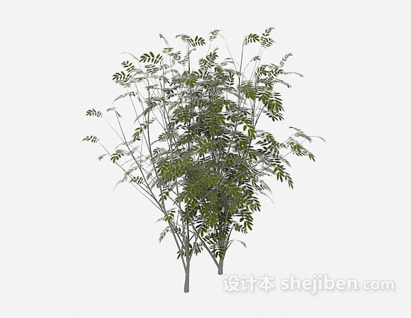 设计本野外绿色植物3d模型下载