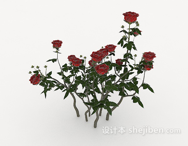 带刺玫瑰3d模型下载