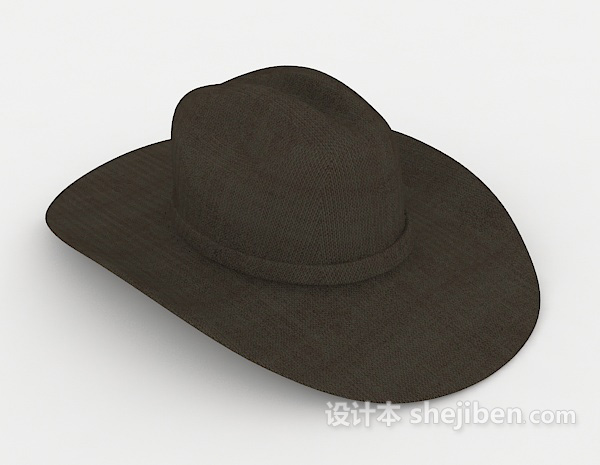 牛仔帽3d模型下载