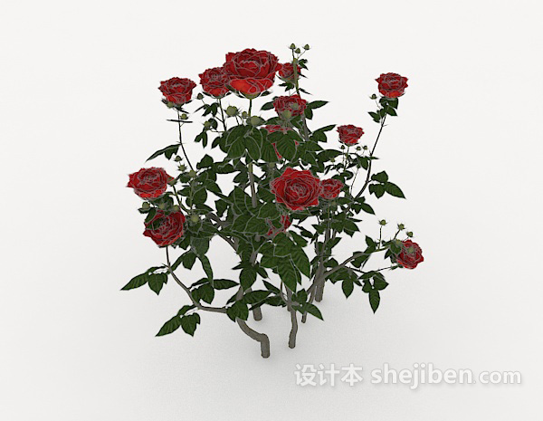 免费带刺玫瑰3d模型下载