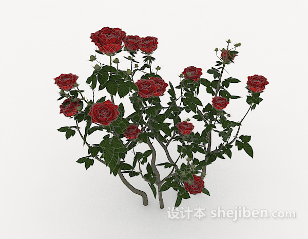 设计本带刺玫瑰3d模型下载