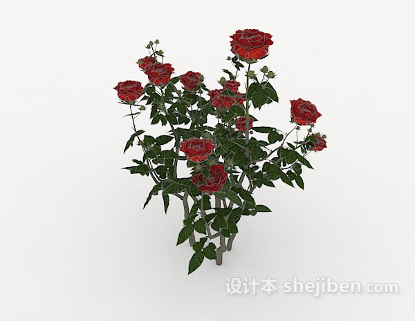 现代风格带刺玫瑰3d模型下载