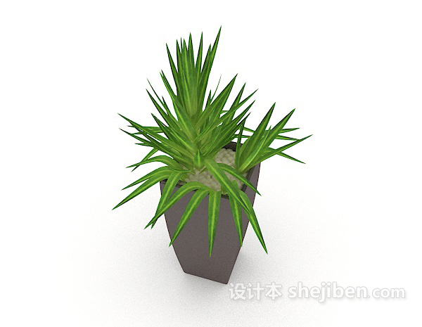 免费办公室绿化盆栽3d模型下载