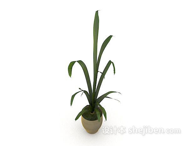 室内绿色观赏盆栽3d模型下载
