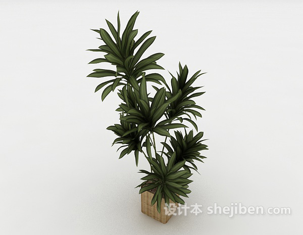 简单装饰盆栽3d模型下载