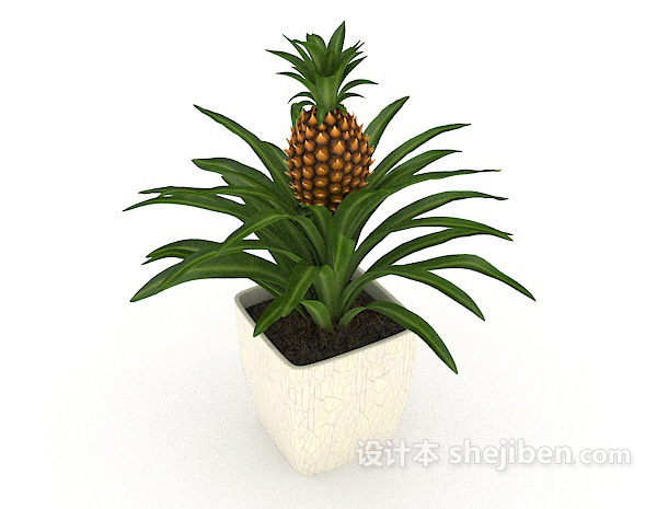 设计本家居装饰植物3d模型下载