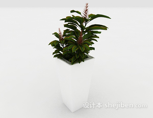 免费室内绿色装饰盆栽3d模型下载