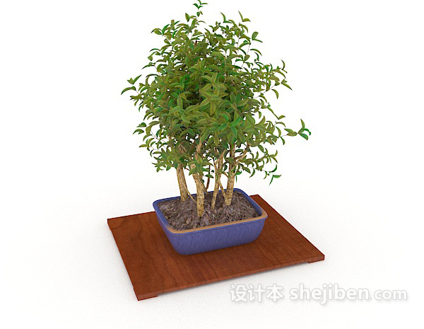 室内盆景植株3d模型下载