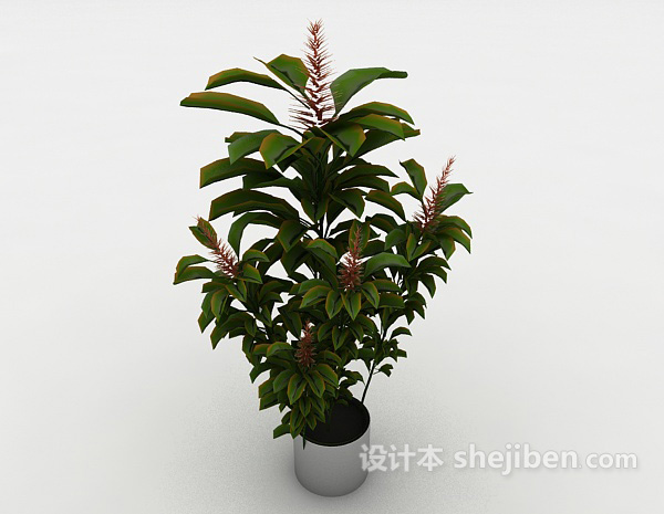 室内装饰盆栽3d模型下载