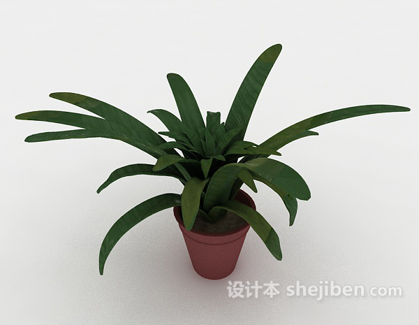 免费绿色盆栽植物3d模型下载