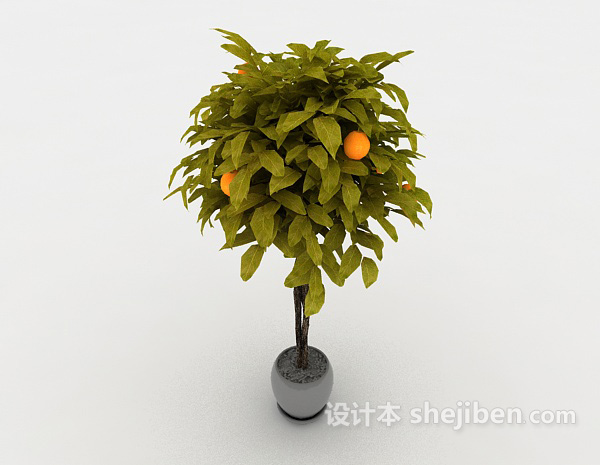 现代风格金桔盆栽3d模型下载