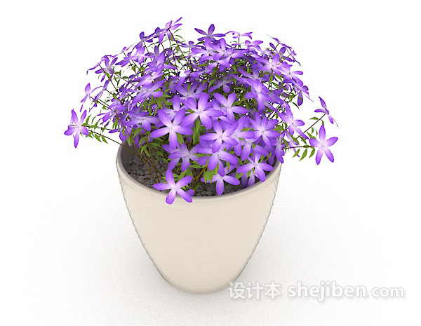 免费紫色小花盆栽3d模型下载