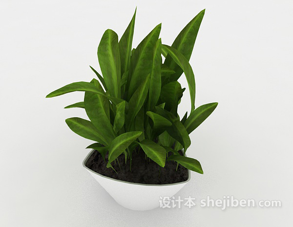 设计本绿色盆栽绿苗3d模型下载