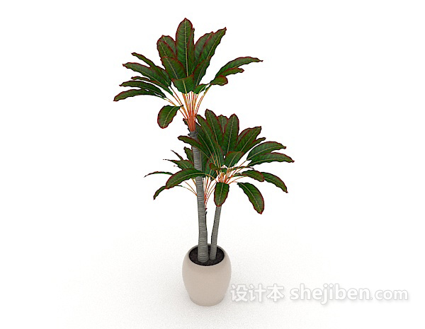室内常见盆栽3d模型下载