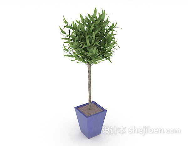绿色简单盆栽3d模型下载