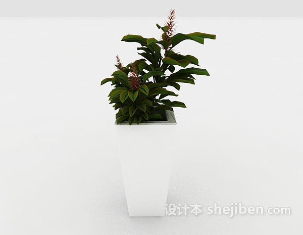 设计本室内绿色装饰盆栽3d模型下载