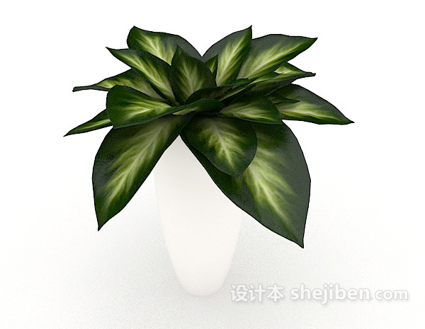 现代风格常见简单盆栽3d模型下载