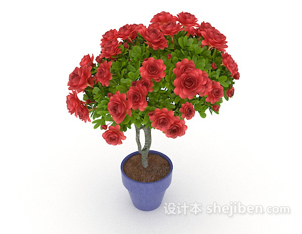 设计本红色室内盆栽3d模型下载