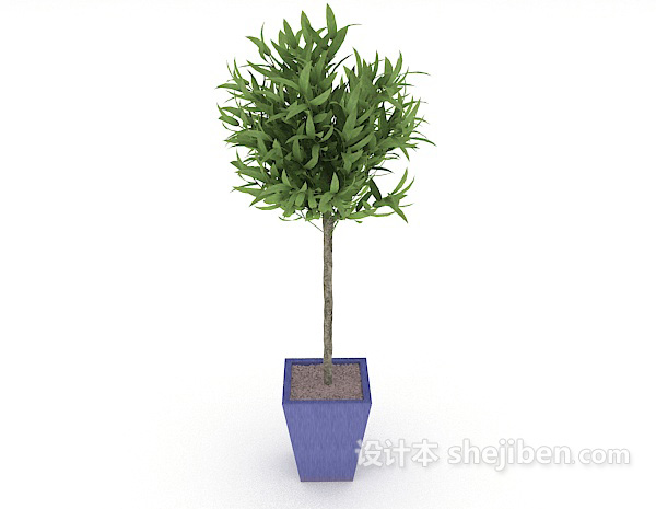 设计本绿色简单盆栽3d模型下载