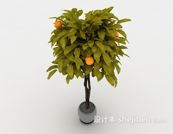 设计本金桔盆栽3d模型下载