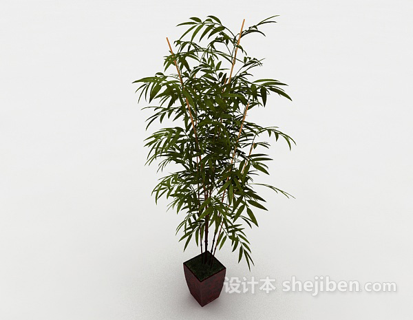 现代风格庭院竹子盆景3d模型下载