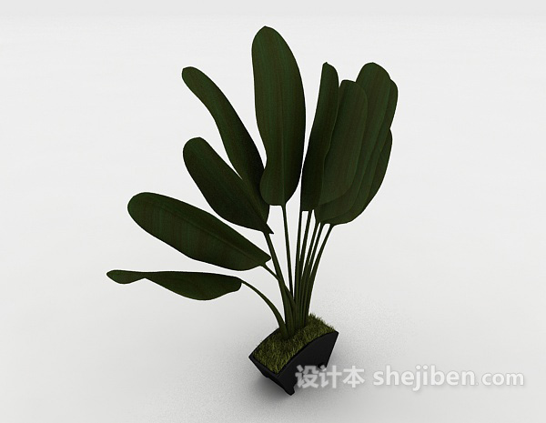 设计本简单室内盆栽3d模型下载