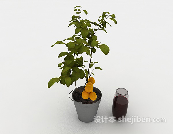 现代风格小株橘树盆栽3d模型下载