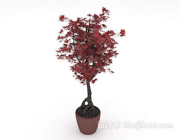 现代风格红叶盆栽装饰3d模型下载
