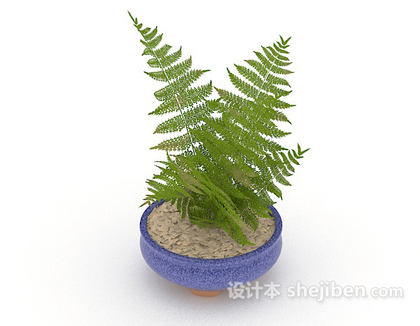 室内绿色小盆栽3d模型下载