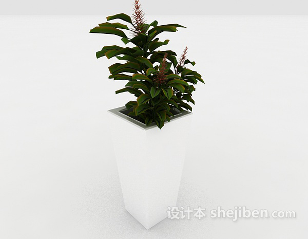 室内绿色装饰盆栽3d模型下载