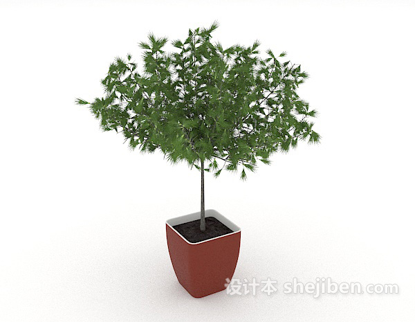 免费居家绿色简单盆栽3d模型下载