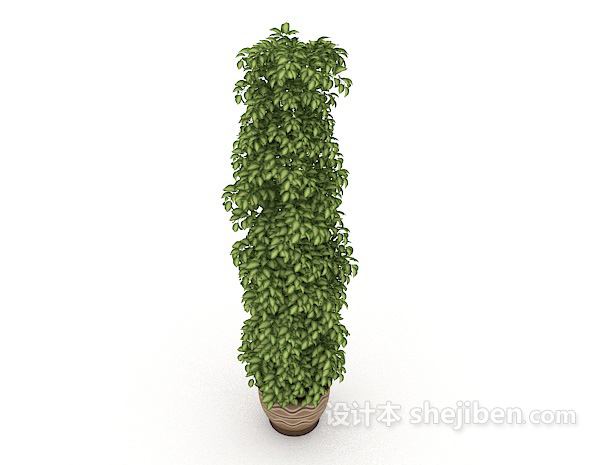 设计本漂亮盆栽3d模型下载