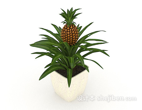 家居装饰植物3d模型下载
