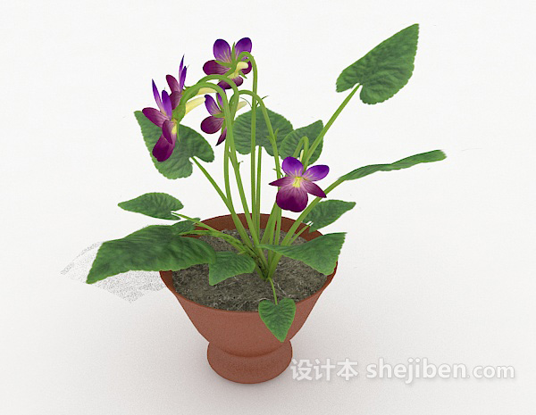 设计本花卉盆栽装饰3d模型下载